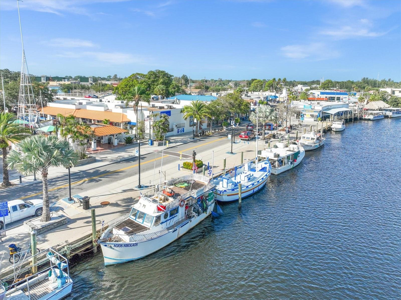 GREEN DOLPHIN PARK CONDO - Residential