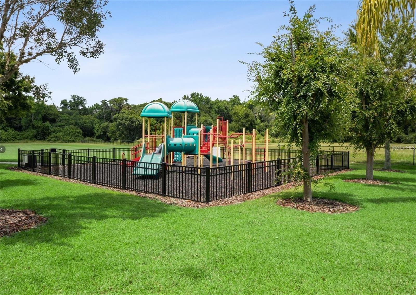 CELERY KEY - Residential