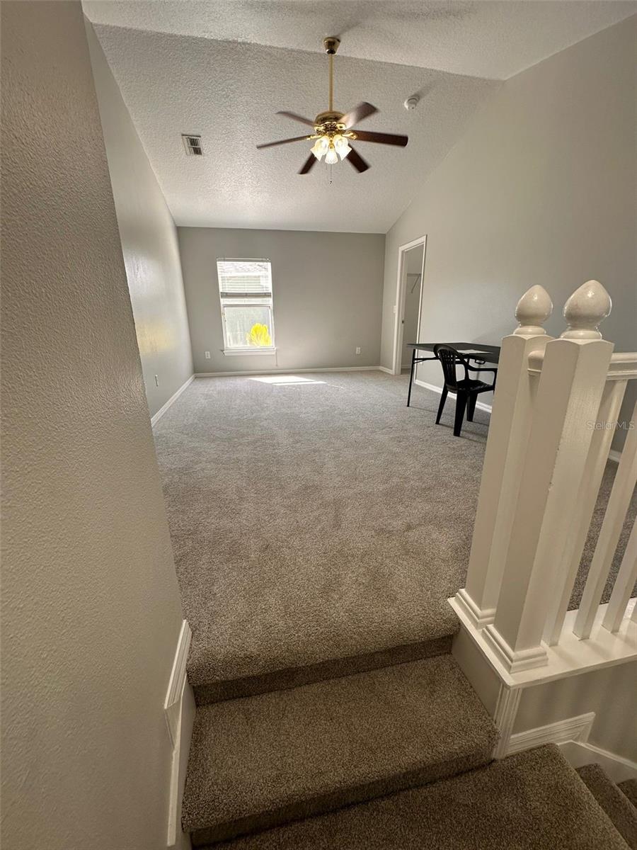 CELERY KEY - Residential