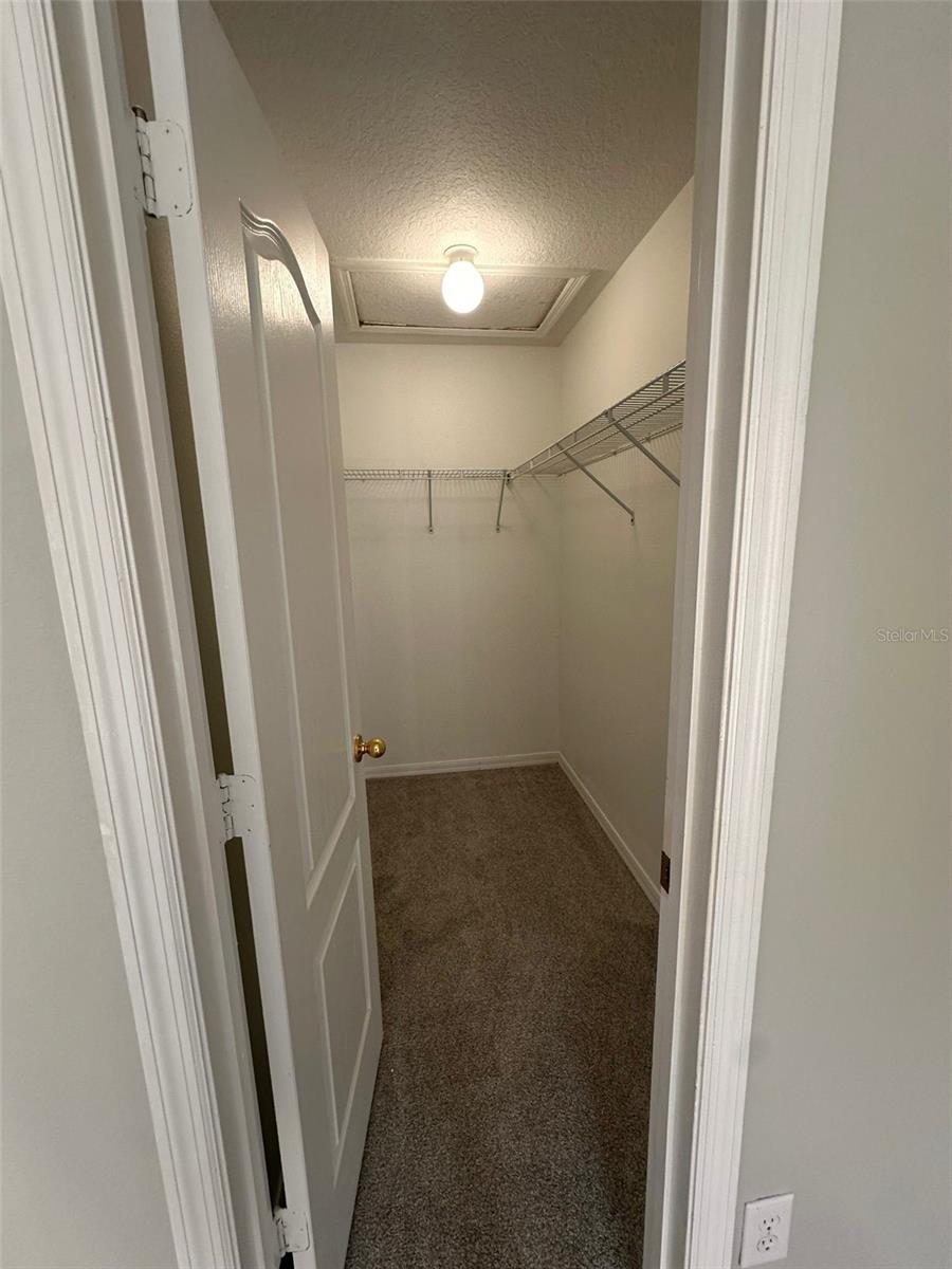 CELERY KEY - Residential