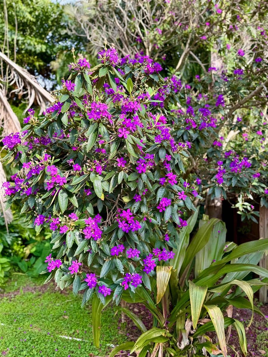 KAPOK TERRACE SUB - Residential Lease