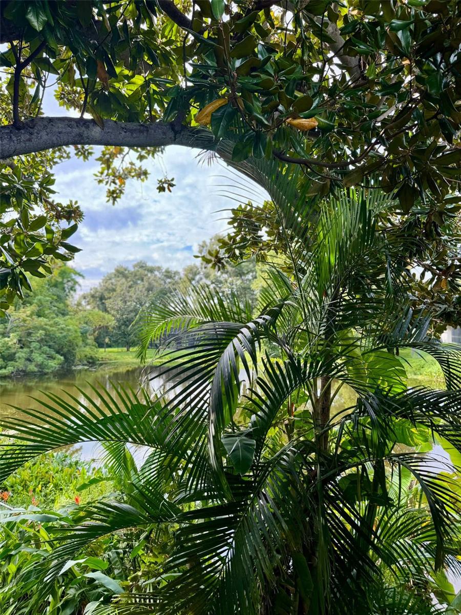 KAPOK TERRACE SUB - Residential Lease