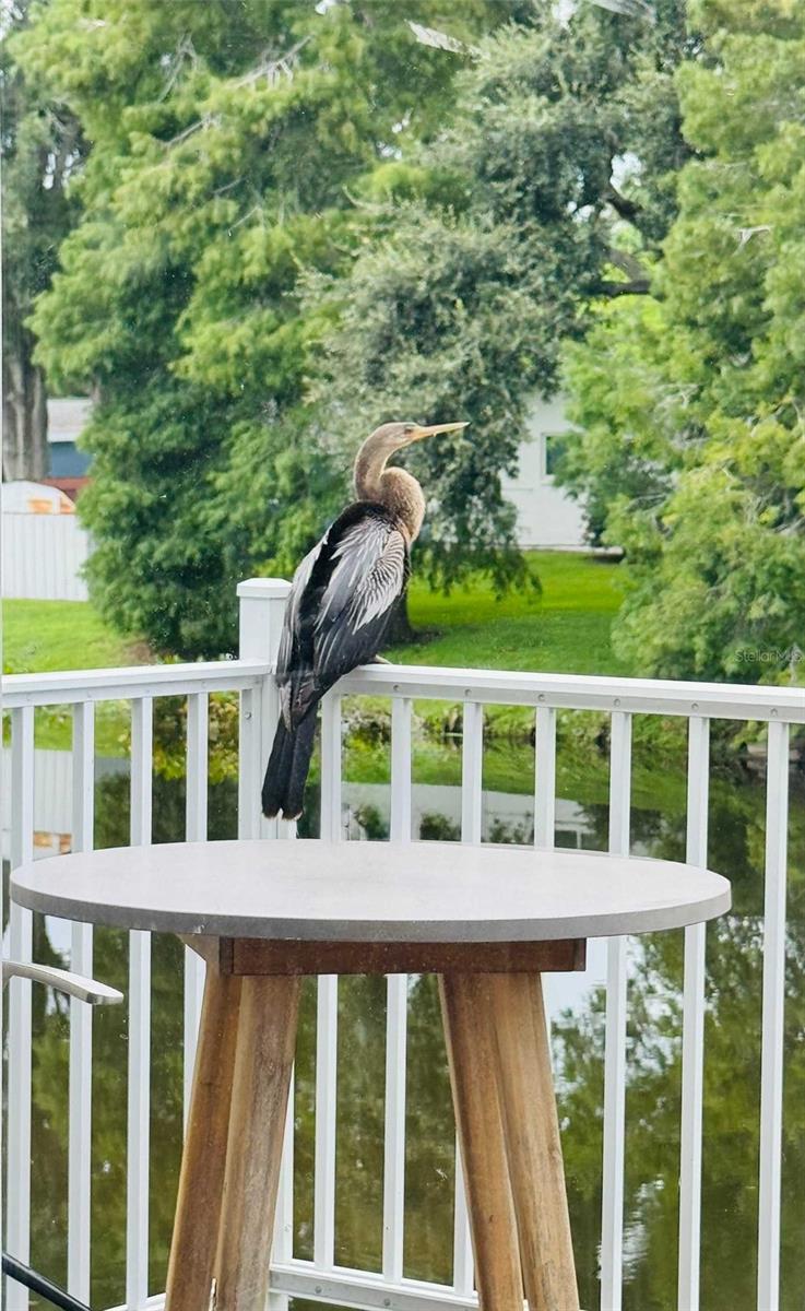 KAPOK TERRACE SUB - Residential Lease