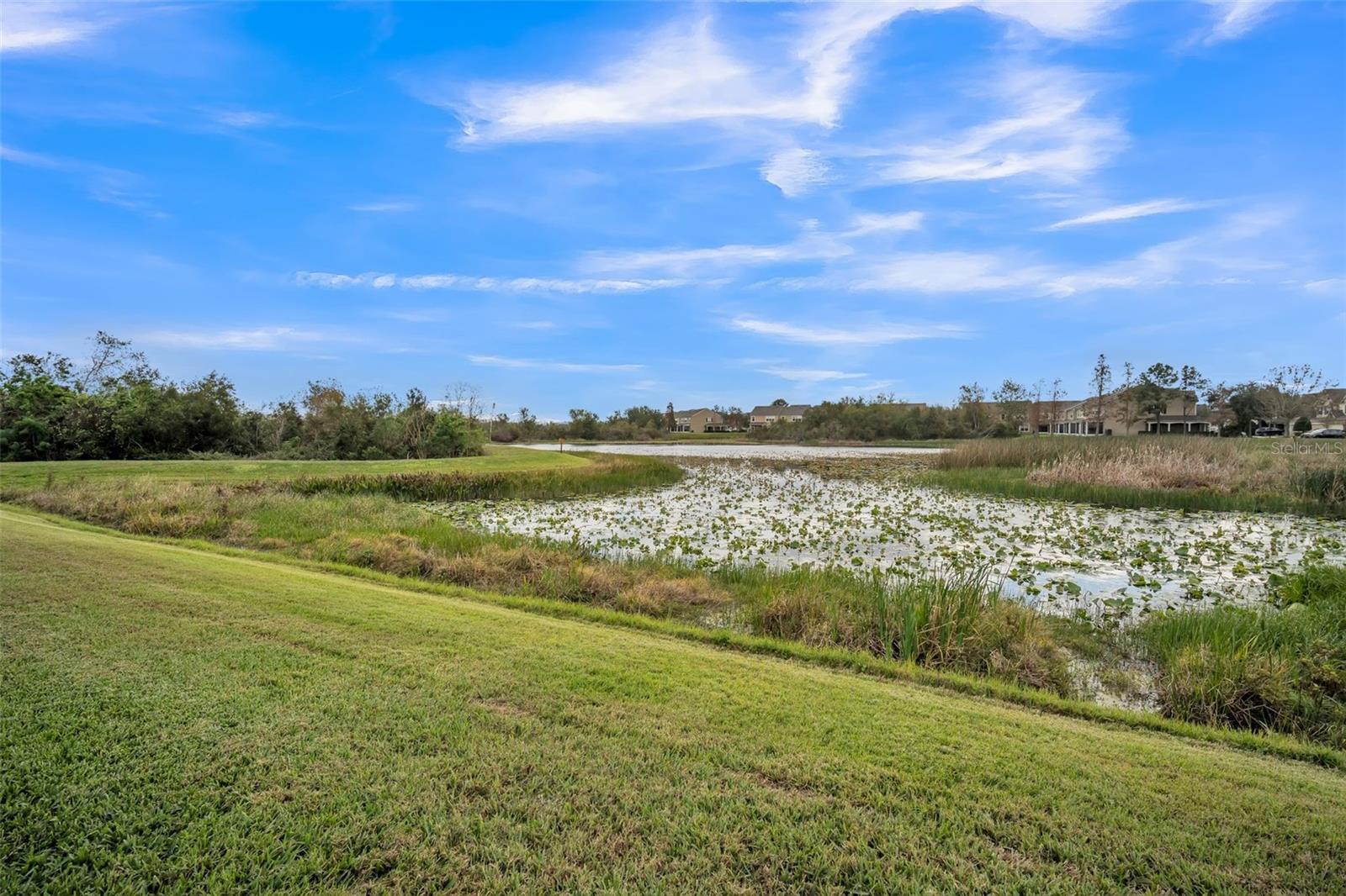 10157 BESSEMER POND COURT