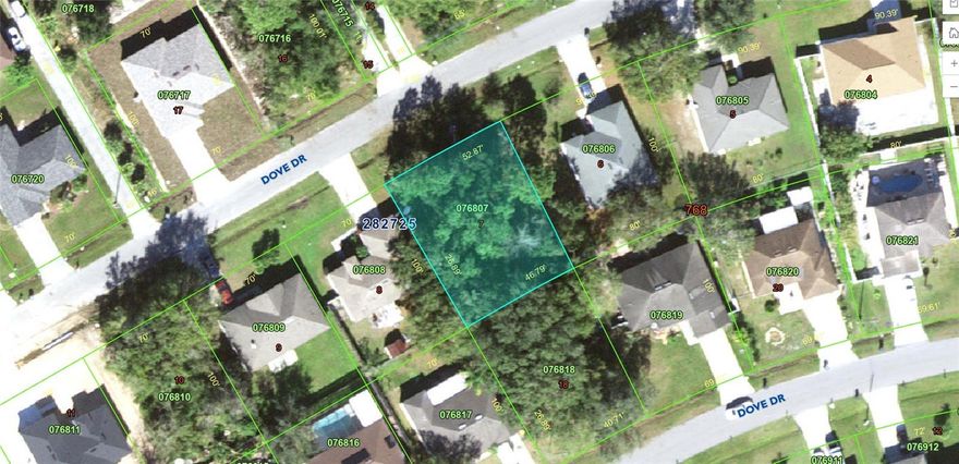 Prime Opportunity to Build Your Dream Home in Poinciana! ??This is a rare chance to secure a buildable lot at 428 DOVE DR, Poinciana, FL in a desirable, fully established community. Imagine designing and building a brand-new, modern home perfectly tailored to your vision on this spacious lot.Why Choose New Construction in This Established Area?Building new in a mature, built-out community like this of Poinciana offers the best of both worlds!Low Maintenance & High Efficiency: A new home means everything is modern and up-to-date, from the roof and HVAC to the appliances. You'll enjoy superior energy efficiency and lower utility bills from the start, as well as the peace of mind of a comprehensive new home warranty.Customization and Modern Layouts: Unlike buying a resale home, you have the freedom to choose your own floor plan and finishes, ensuring the layout and features reflect your exact taste and lifestyle.Instant Community Integration: You get all the benefits of a new, energy-efficient home without waiting for the neighborhood to develop. The area is fully built and inhabited, meaning you are moving into a vibrant, established community right away. You’ll have instant access to neighbors, and the community's infrastructure, parks, and local services are already complete and thriving.