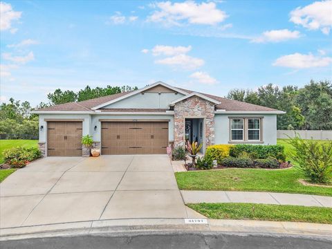 31737 FAIRHILL DRIVE WESLEY CHAPEL FL 33543