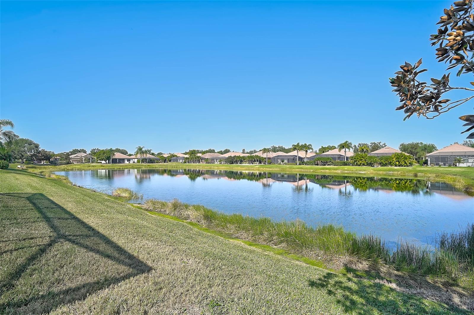 RESIDENCES AT UNIVERSITY GROVES - Residential