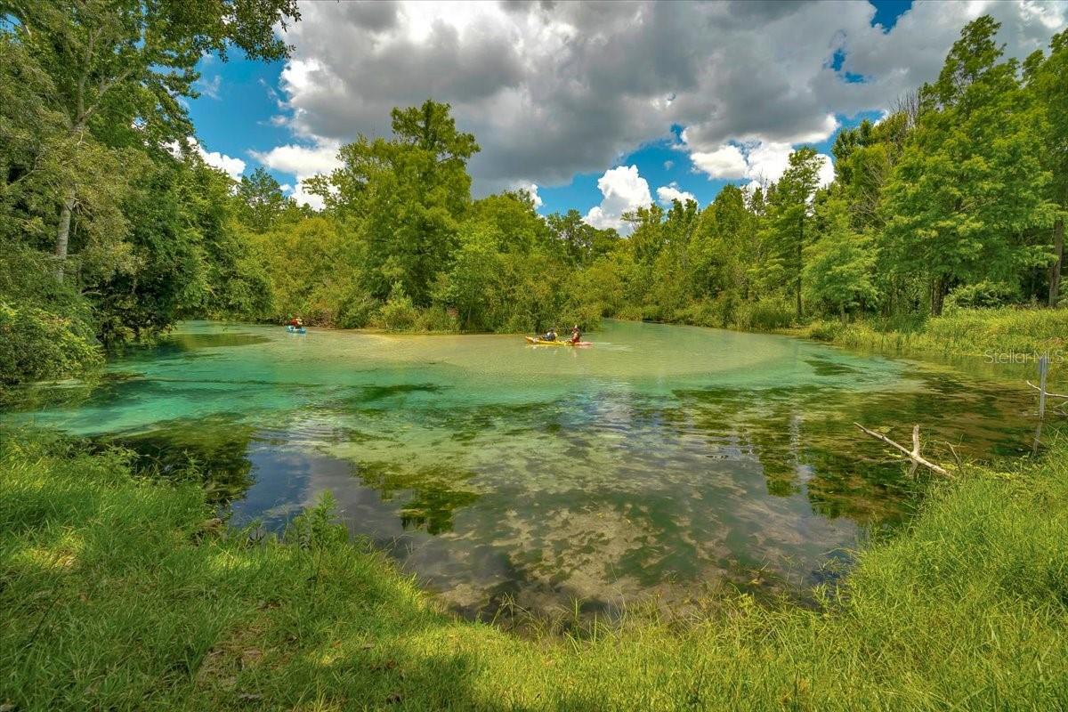 WATERS OF WEEKI WACHEE - Residential
