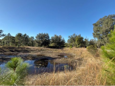 Tiny photo for 24939 County Road 33, Groveland, FL 34736 (MLS # G5105952)