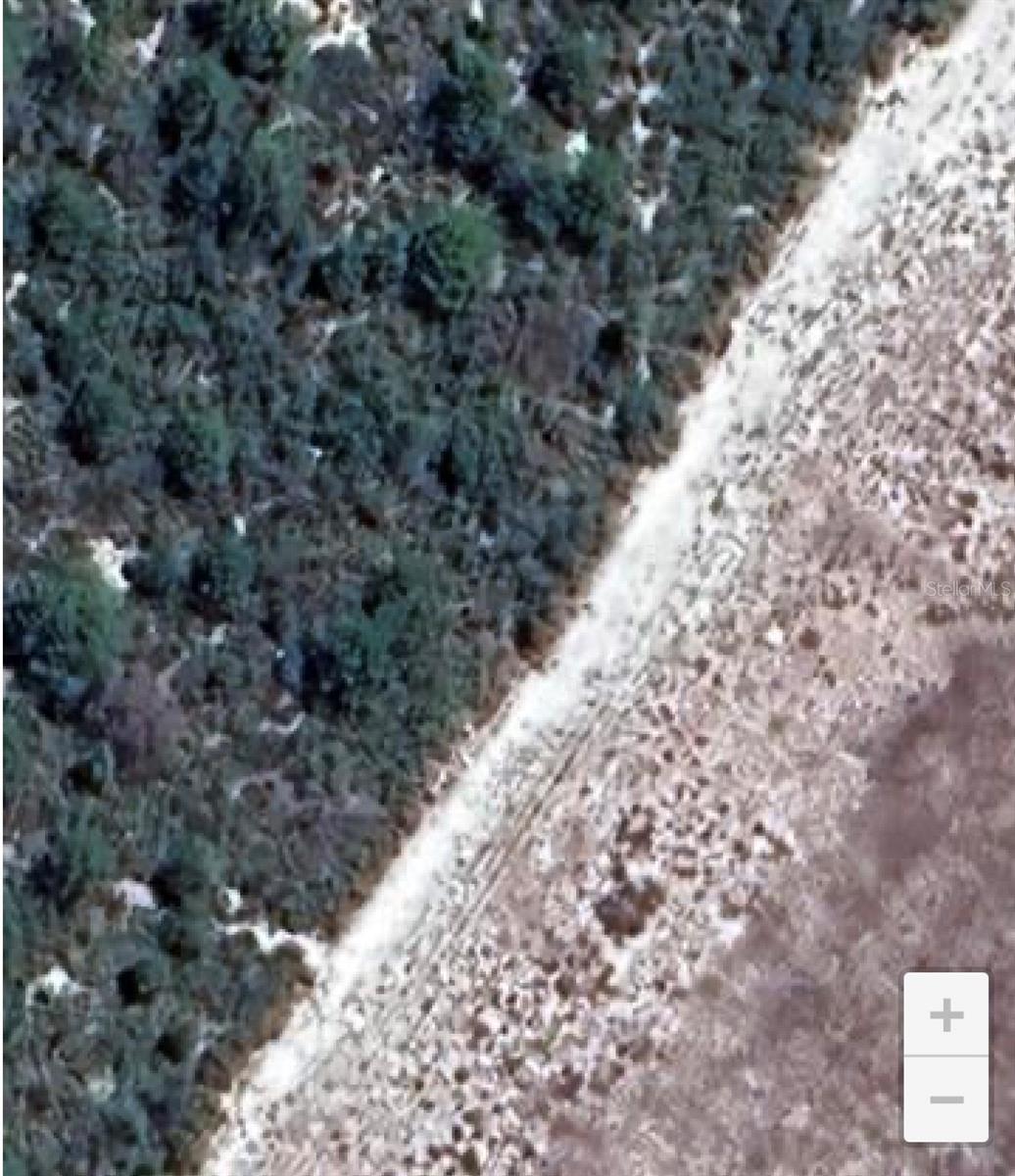 ORANGE BLOSSOM CCC - Land