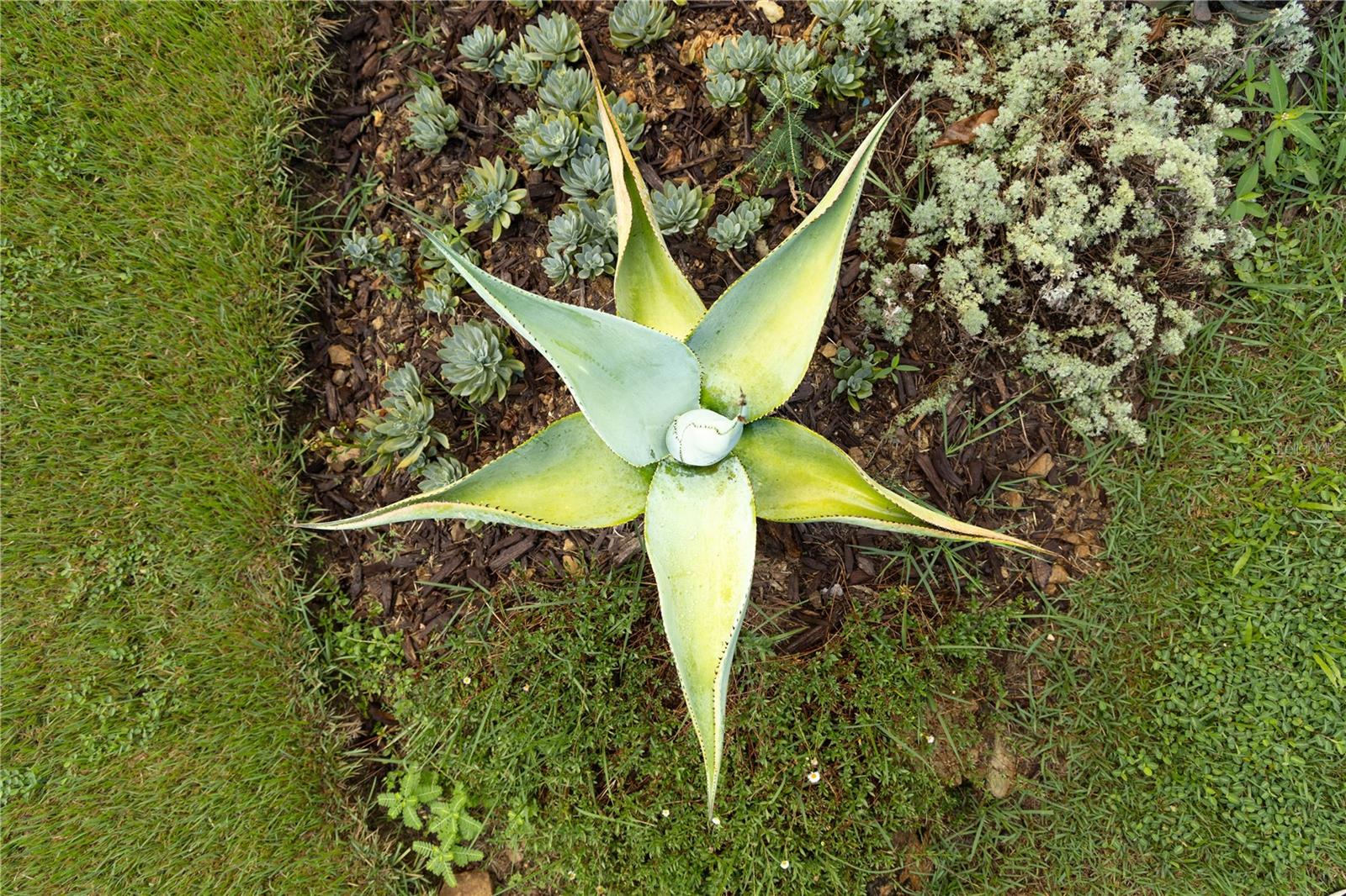 VILLA BORINQUEN - Residential