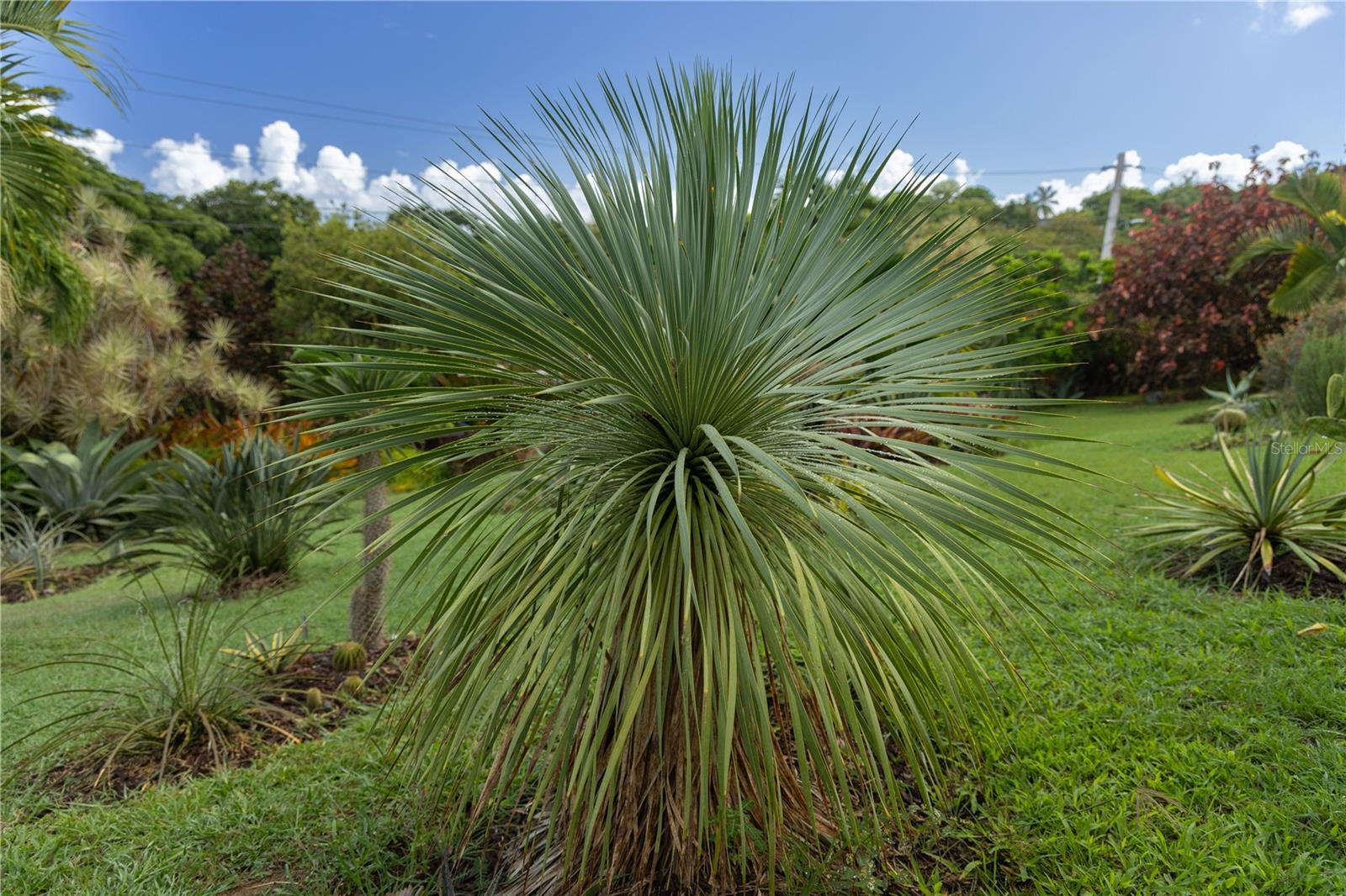VILLA BORINQUEN - Residential