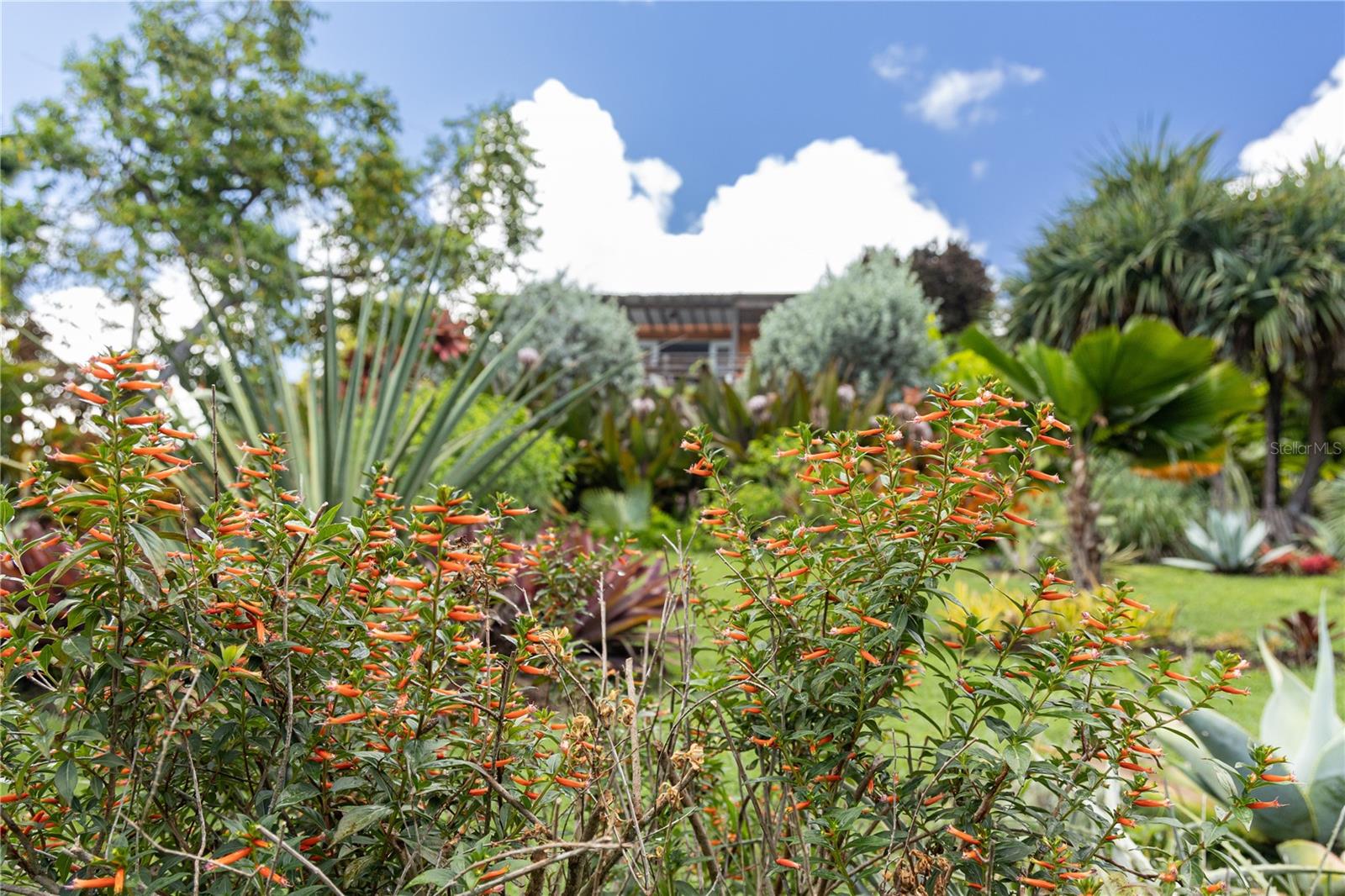 VILLA BORINQUEN - Residential