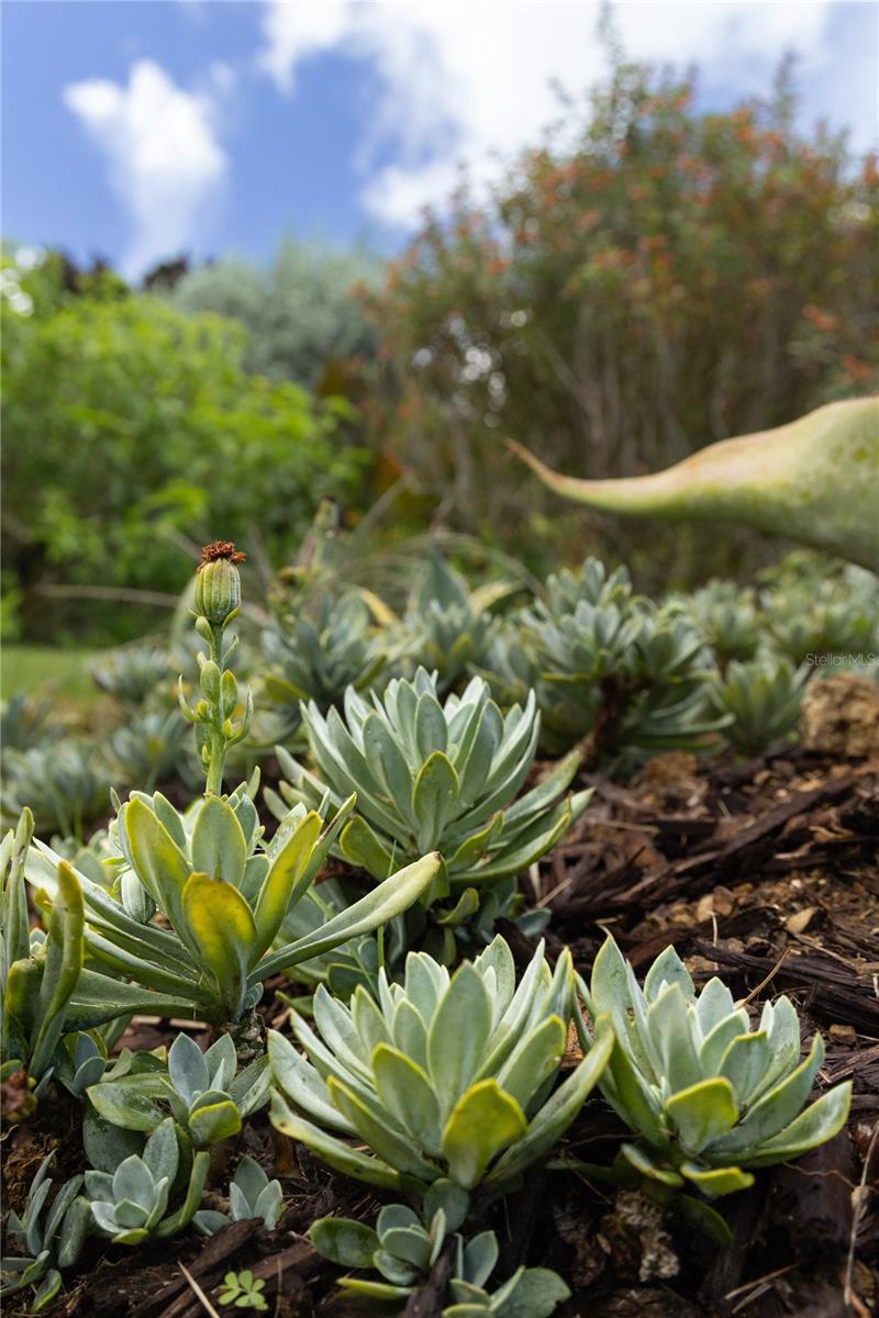 VILLA BORINQUEN - Residential