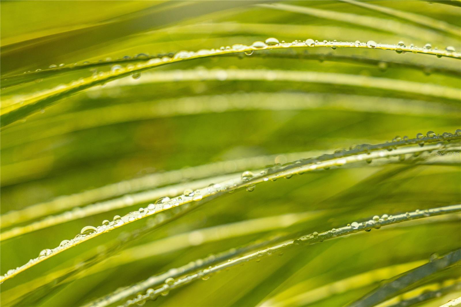 VILLA BORINQUEN - Residential