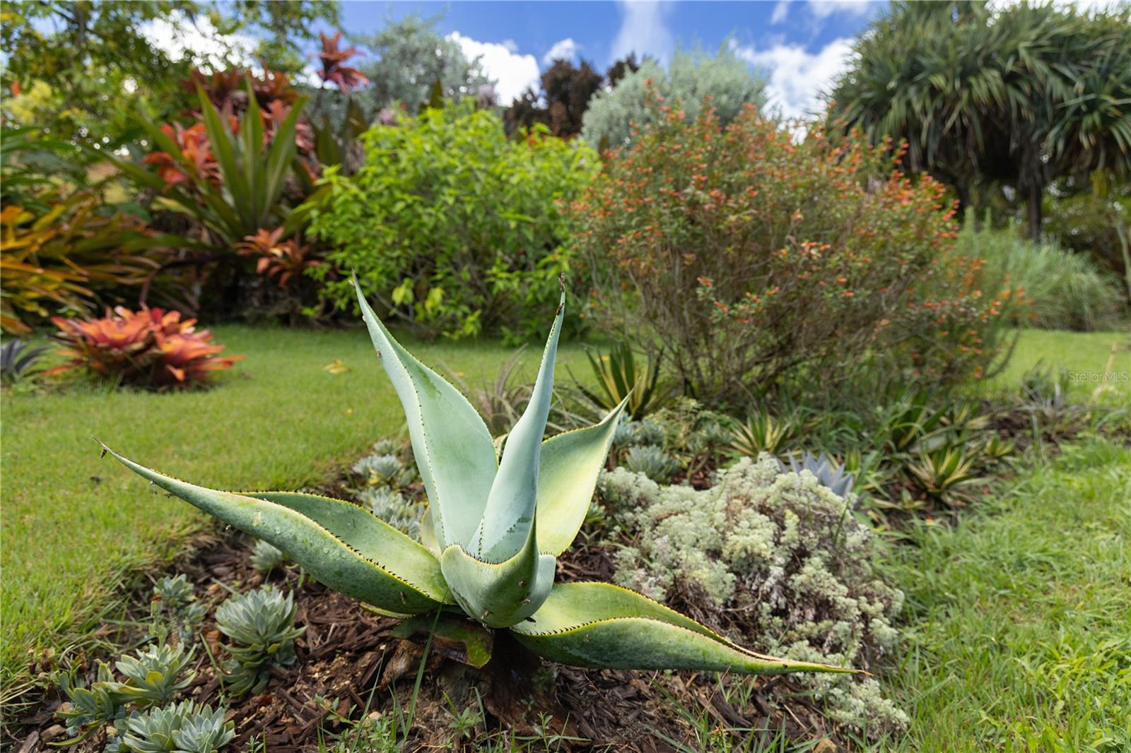 VILLA BORINQUEN - Residential