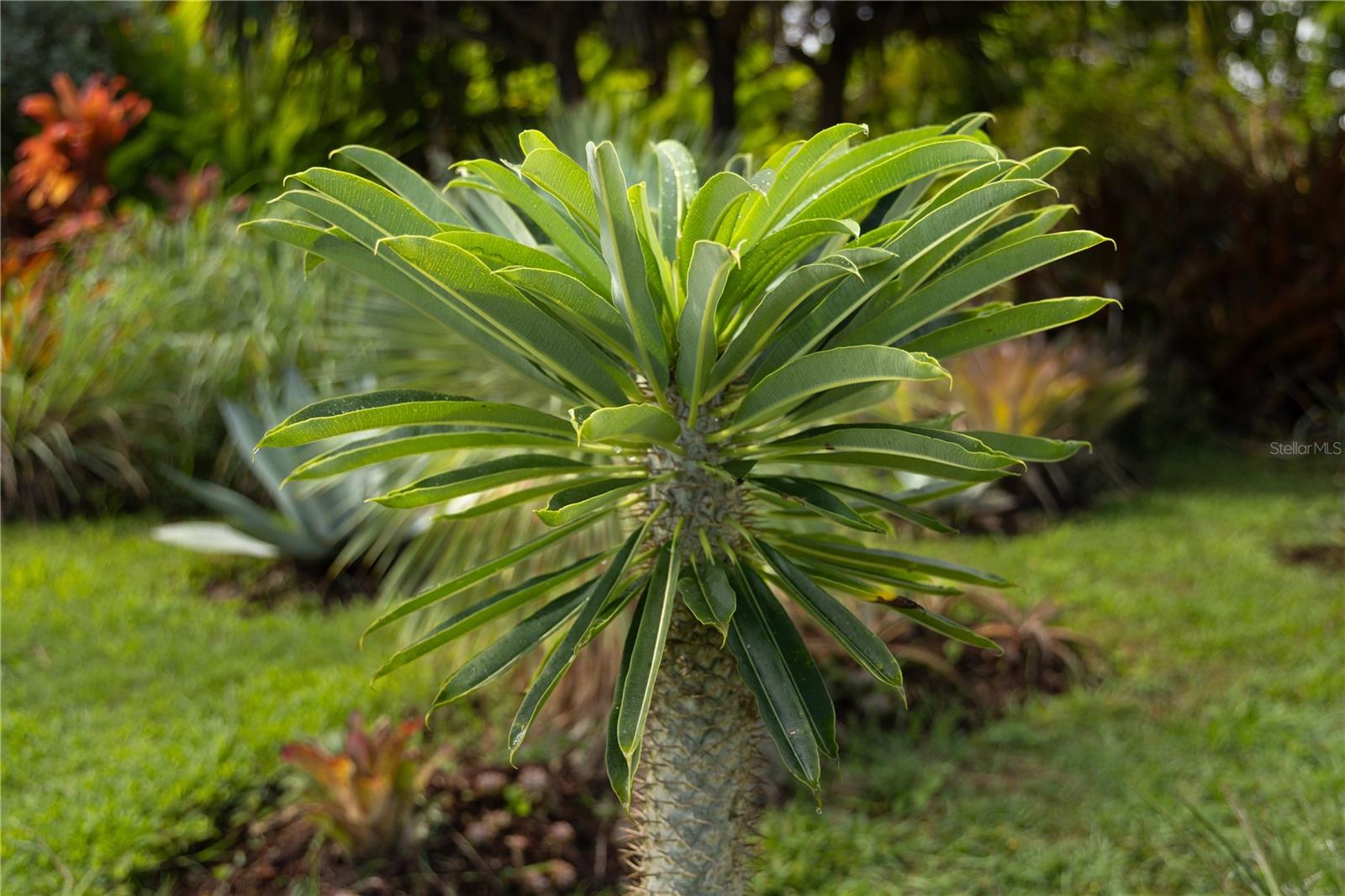 VILLA BORINQUEN - Residential