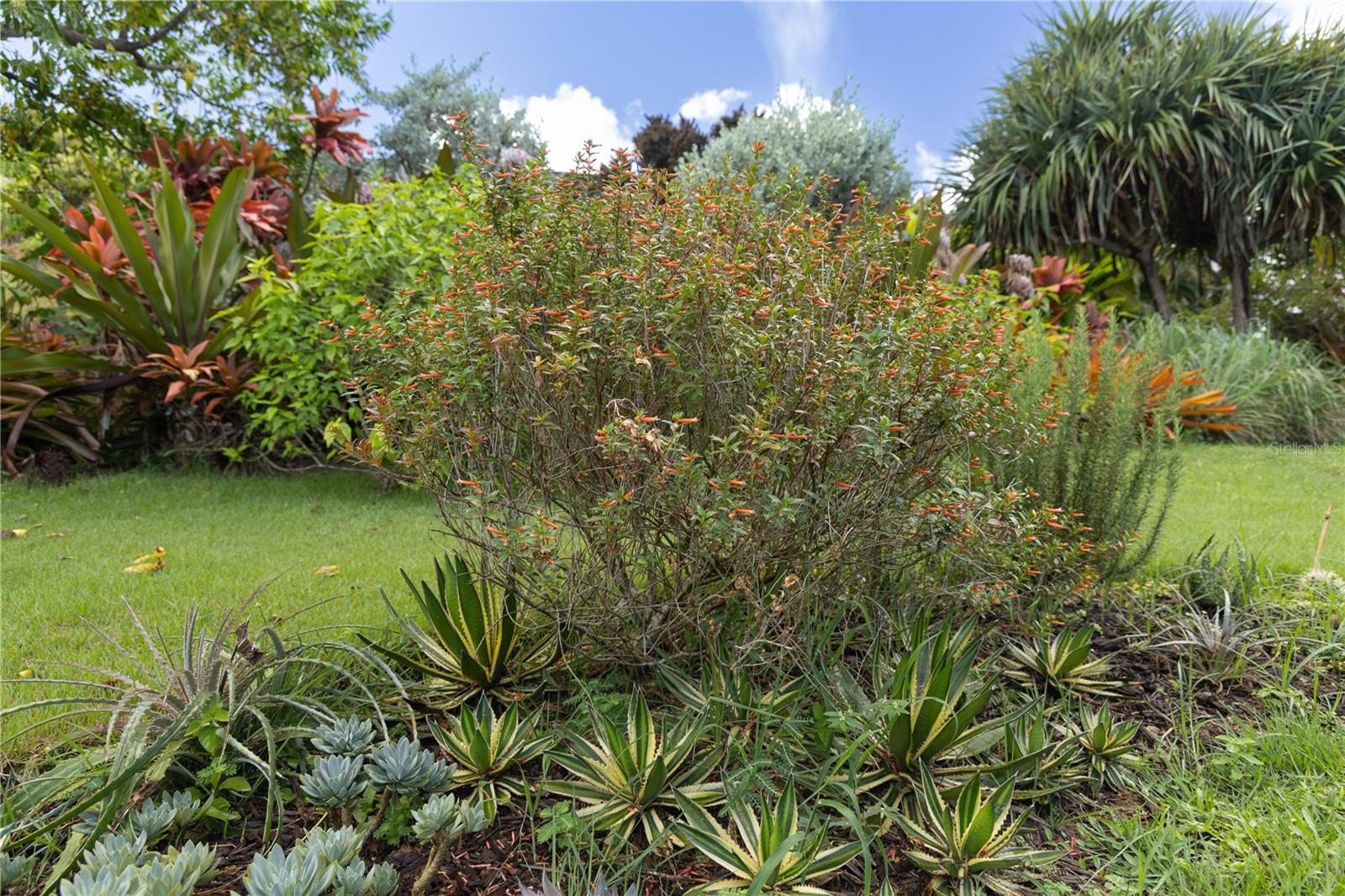 VILLA BORINQUEN - Residential