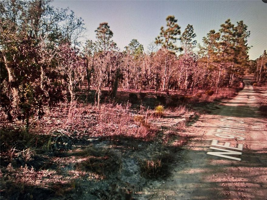 Vacant land ready for you to build your dream home on 1.25 acres in East Bronson, FL! Private lot with nearby restaurants and stores. 7 miles to Archer and 17 Miles from Gainsville. This beautiful property is also located near Devils Den Springs and Blue Springs!