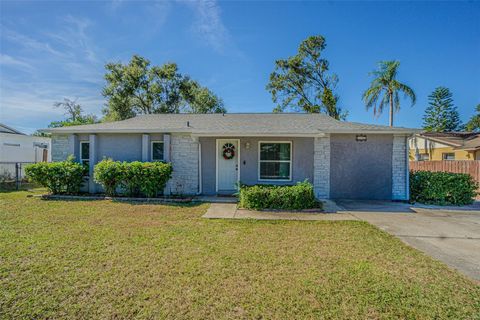 Photo of 925 Park Street, Seffner, FL 33584 (MLS # TB8448288)