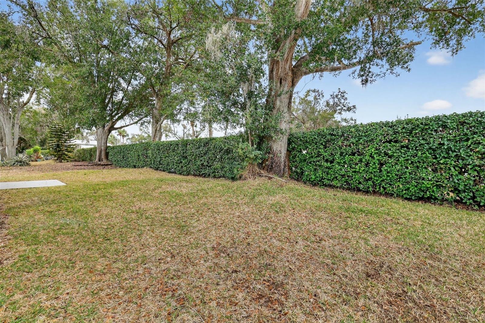 PLANTATION AT LEESBURG GREENTREE - Residential