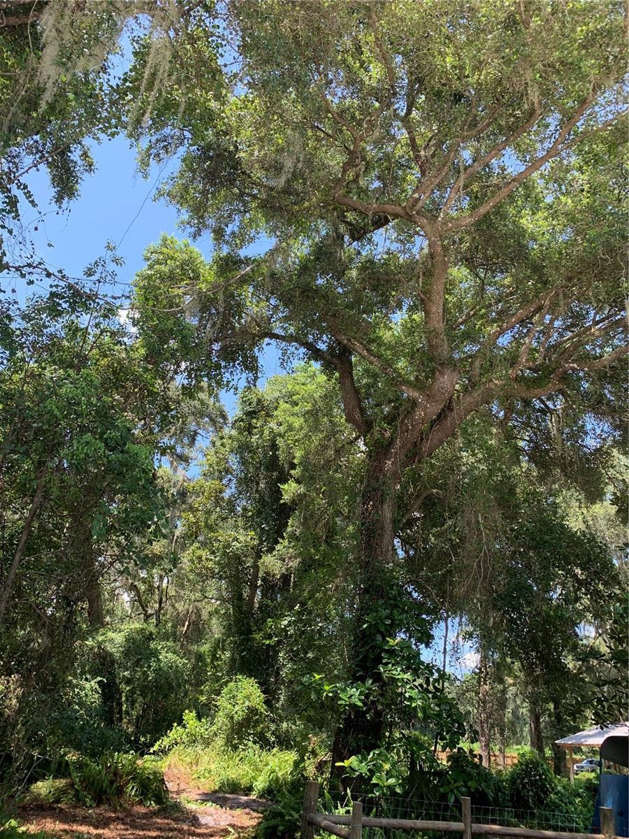 SPRING LAKE AREA - Land