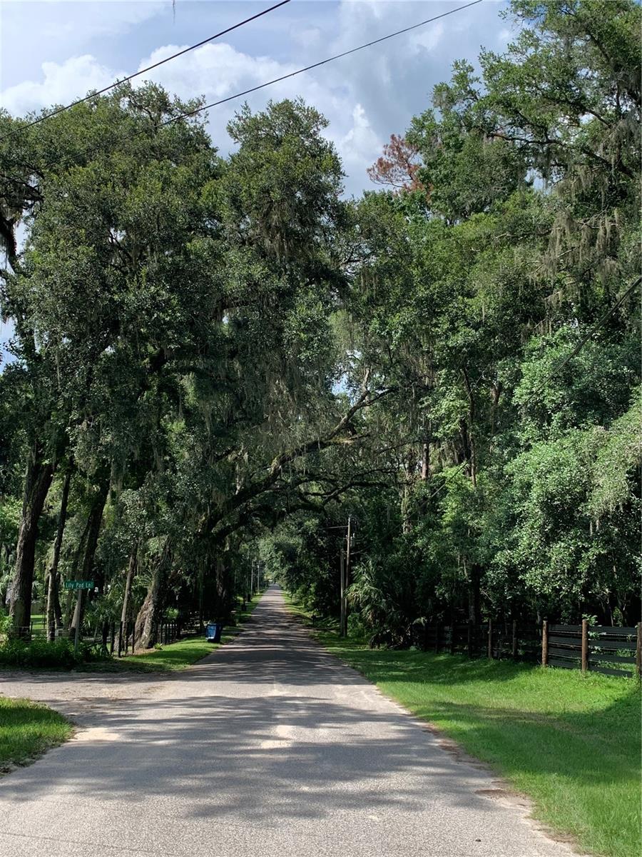 SPRING LAKE AREA - Land