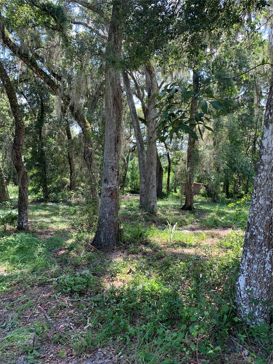 SPRING LAKE AREA - Land