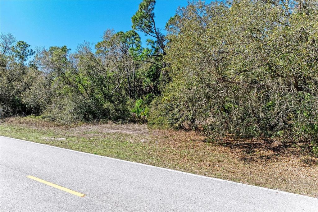 Photo of 3059 Como Street, Port Charlotte, FL 33948 (MLS # A4685168)