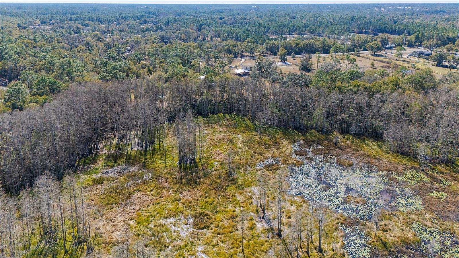 LAKE HELEN - Residential