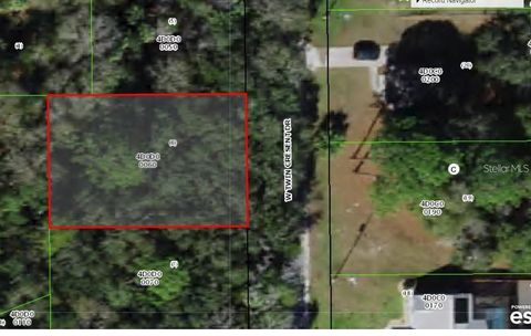 6830 W TWINS CRESENT DRIVE HOMOSASSA FL 34446