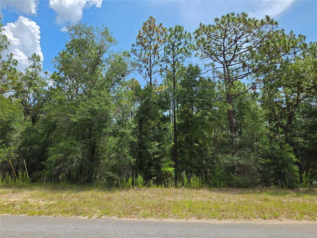 Photo of 8425 N Foresome Way, Dunnellon, FL 34434 (MLS # OM728013)