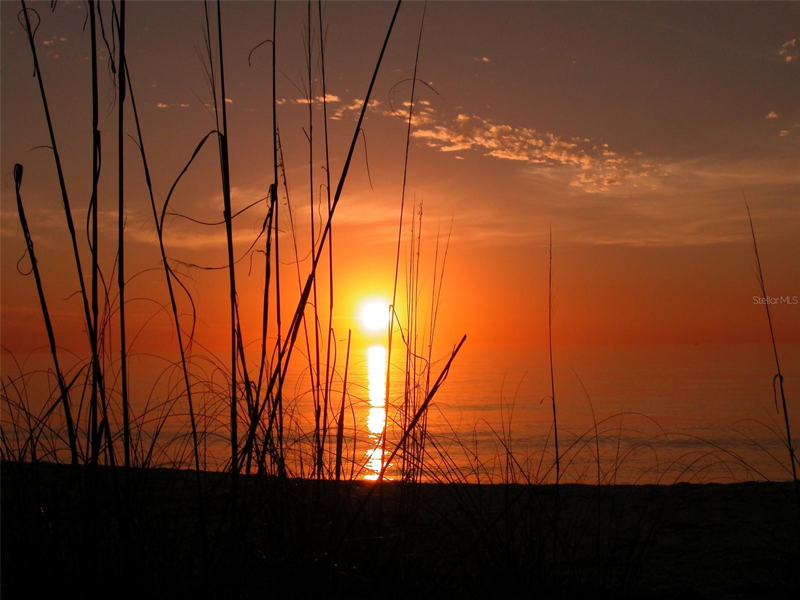 LONGBOAT KEY CASA DEL MAR - Residential