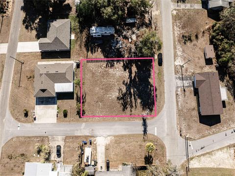 000 CR 446 LAKE PANASOFFKEE FL 33538