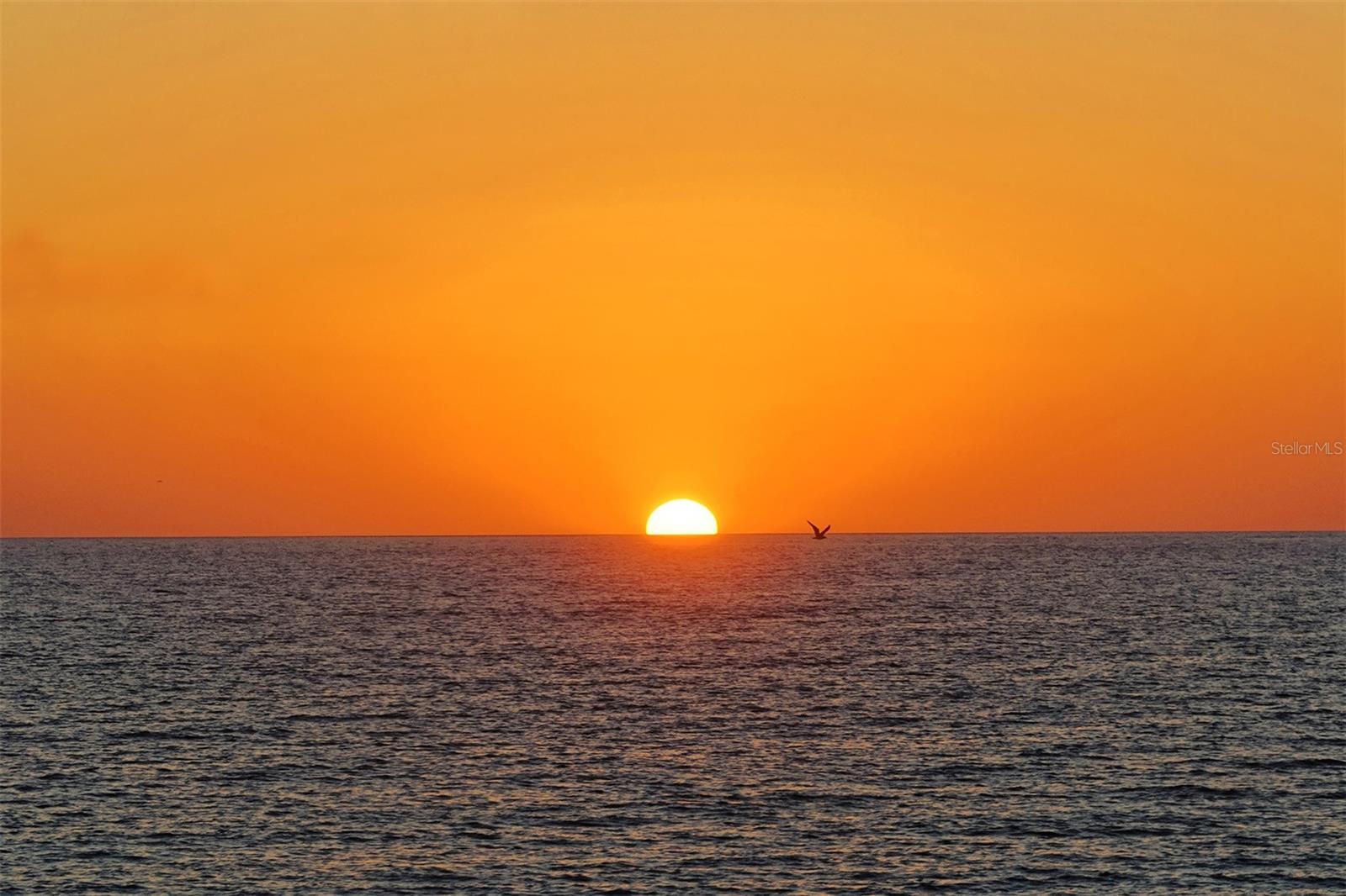 ST ARMAND TOWERS - Residential