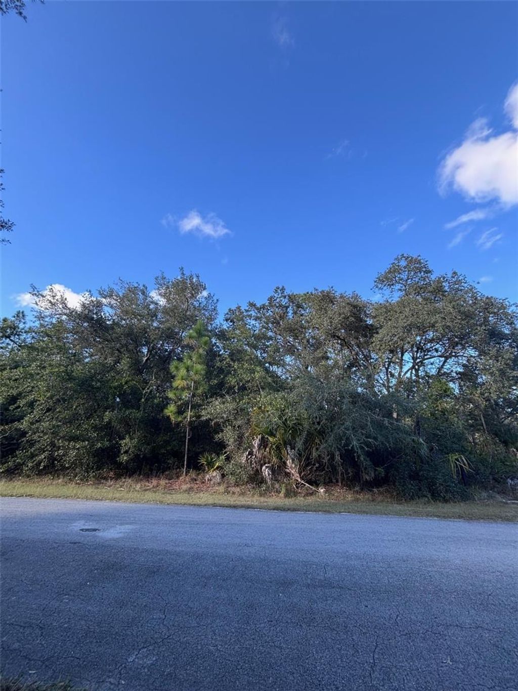 Photo of 12587 W Flaxen Drive, Crystal River, FL 34428 (MLS # A4671835)