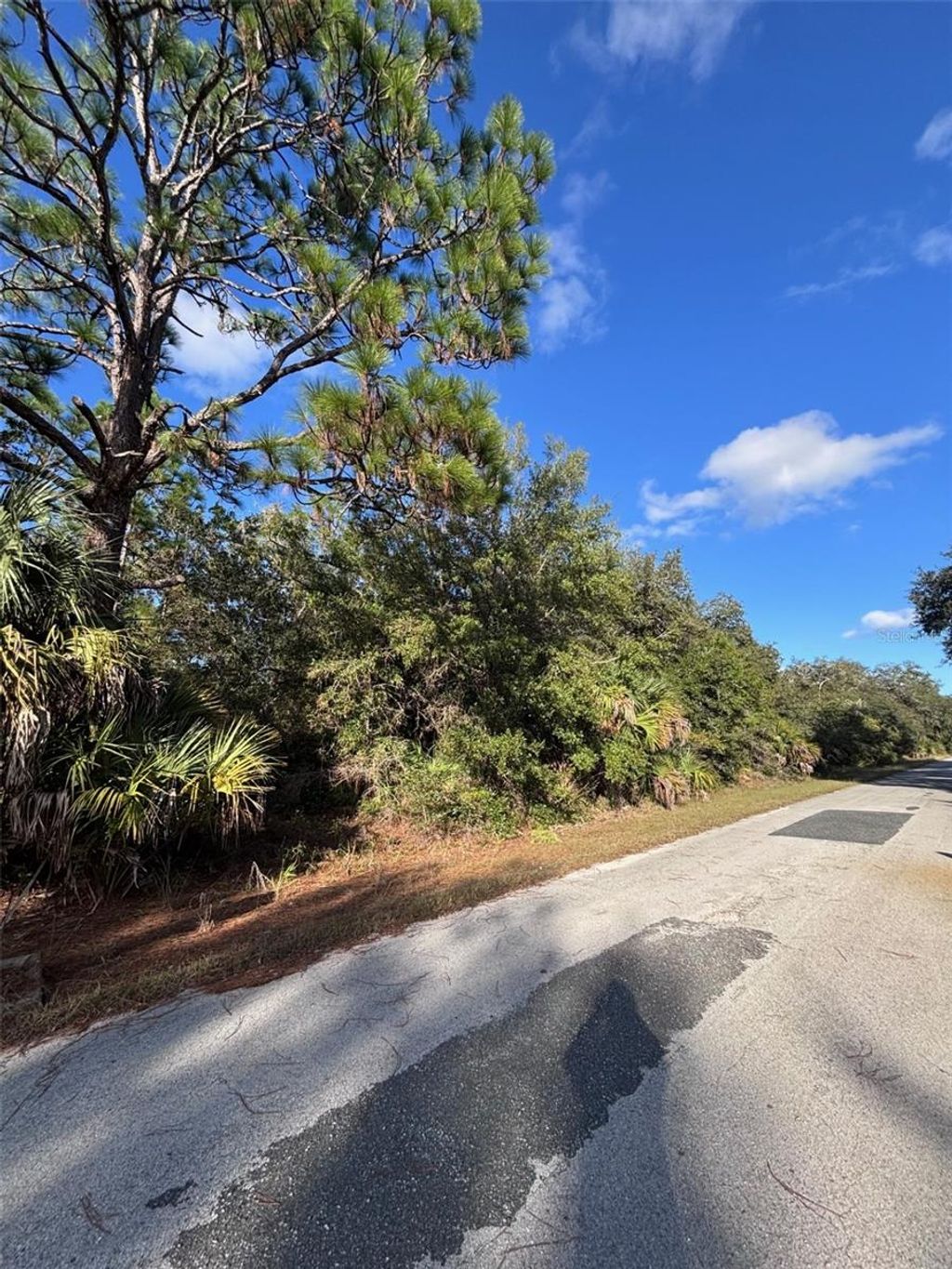 Photo of 12587 W Flaxen Drive, Crystal River, FL 34428 (MLS # A4671835)