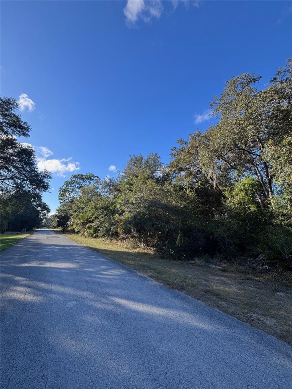 Photo of 12587 W Flaxen Drive, Crystal River, FL 34428 (MLS # A4671835)