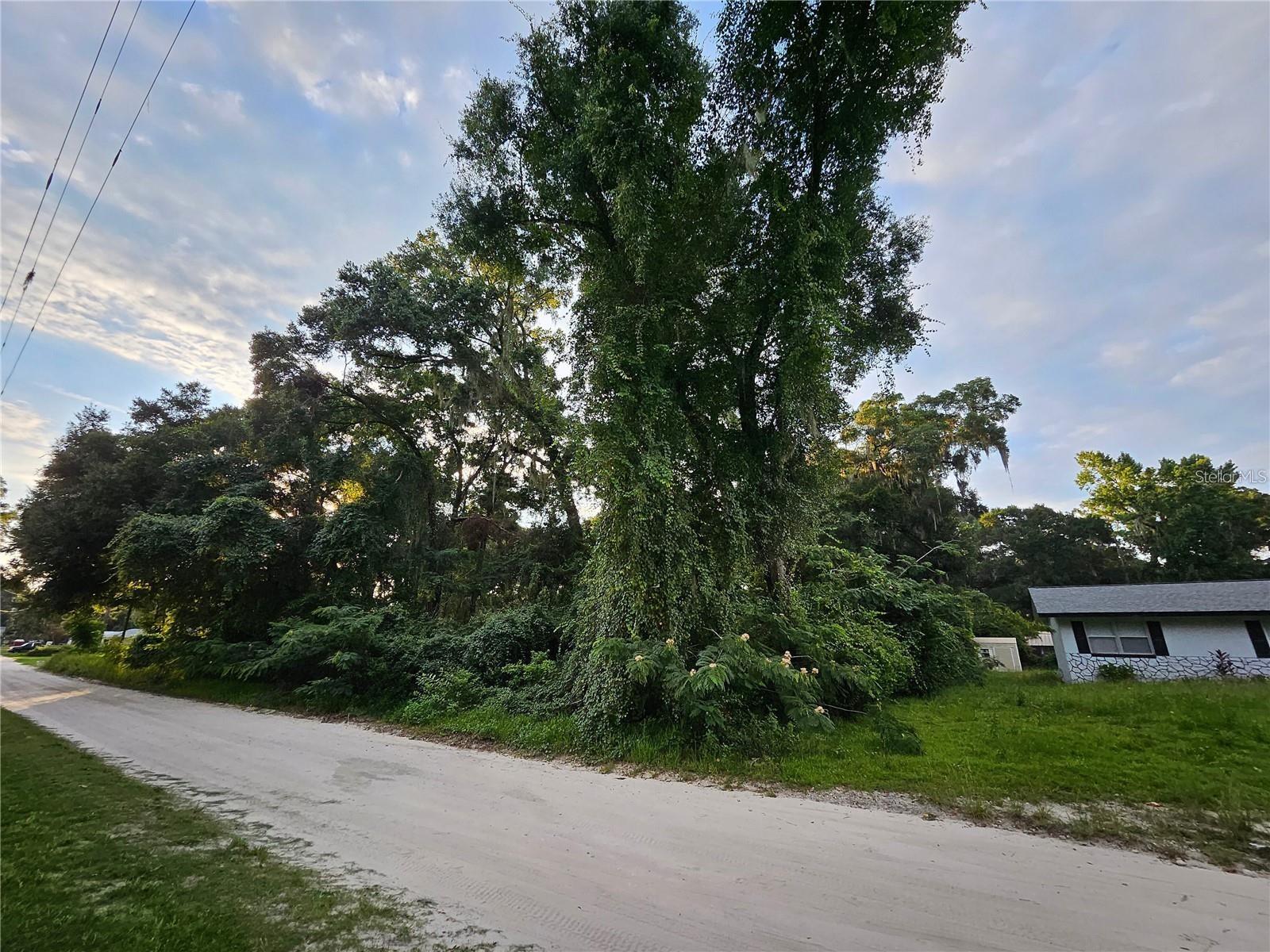 BELLEVIEW HEIGHTS ESTATE - Land