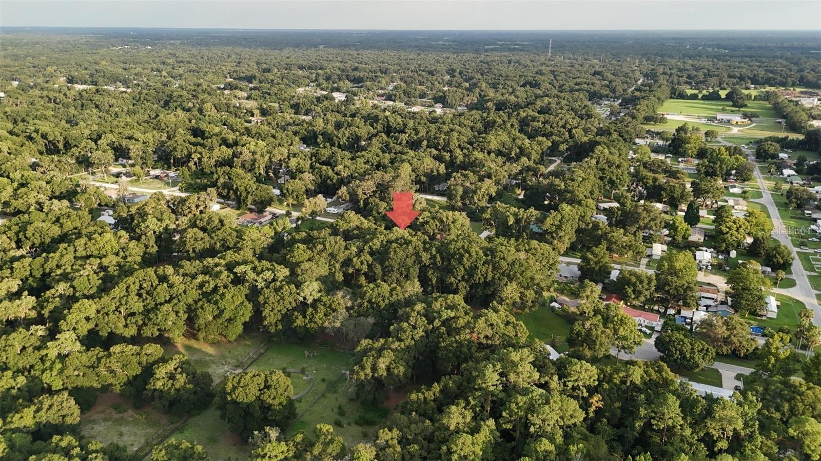 BELLEVIEW HEIGHTS ESTATE - Land