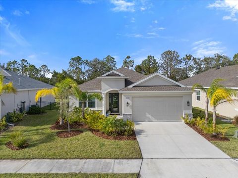 A home in PARRISH