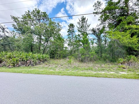 Featured picture for the property O6217153
