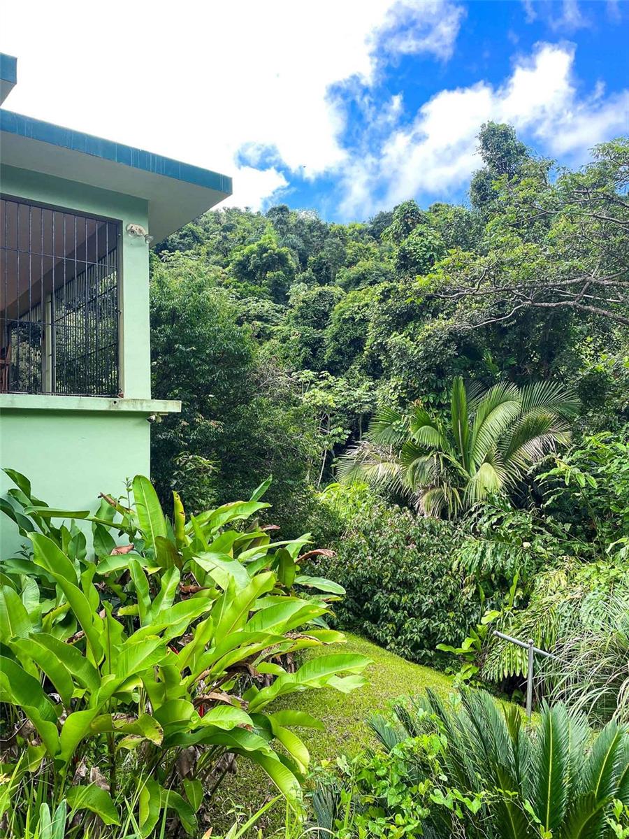 COLINAS DE CUBUY - Residential