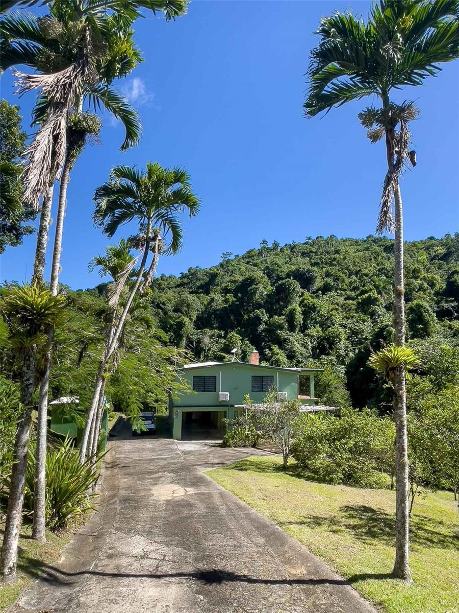 COLINAS DE CUBUY - Residential