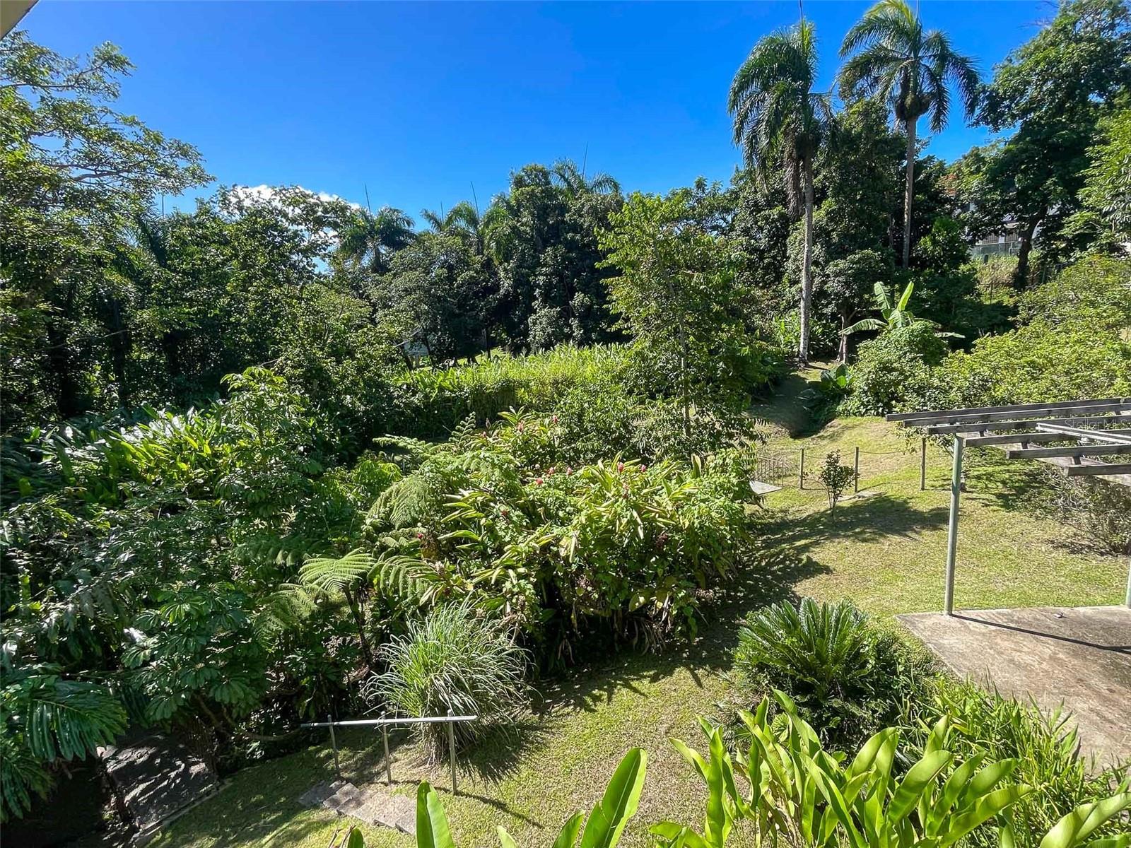 COLINAS DE CUBUY - Residential