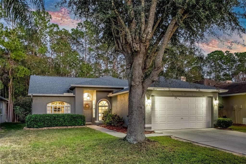 Photo of 16011 Royal Aberdeen Place, Odessa, FL 33556 (MLS # TB8321603)