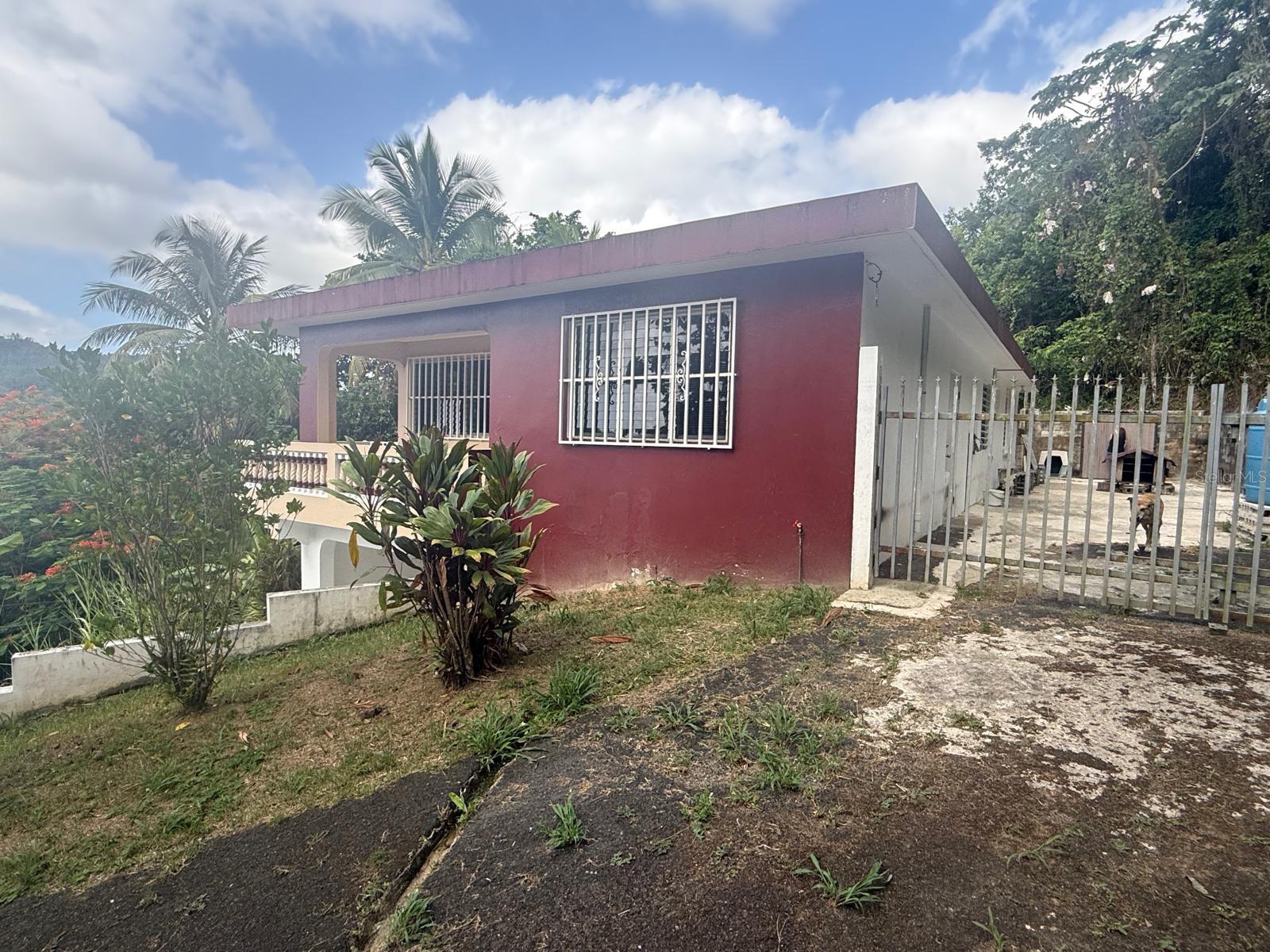 BARRIO SANTA OLAYA SECTOR COLLORES