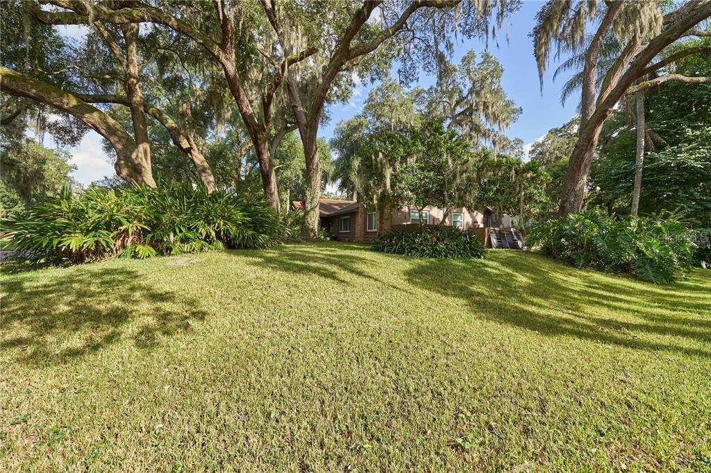 655 VINE COURT