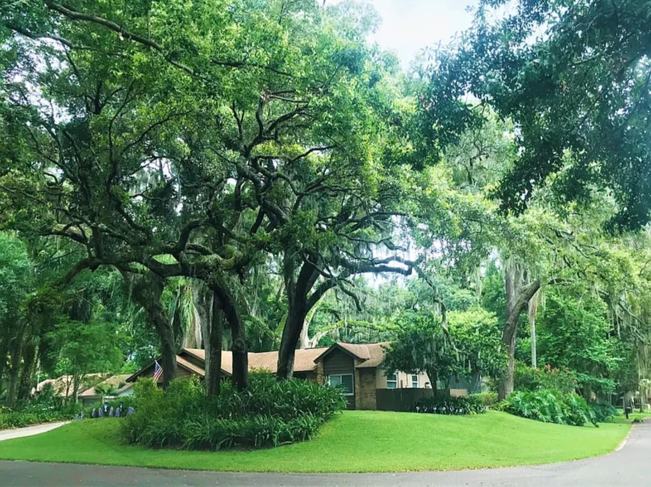 655 VINE COURT