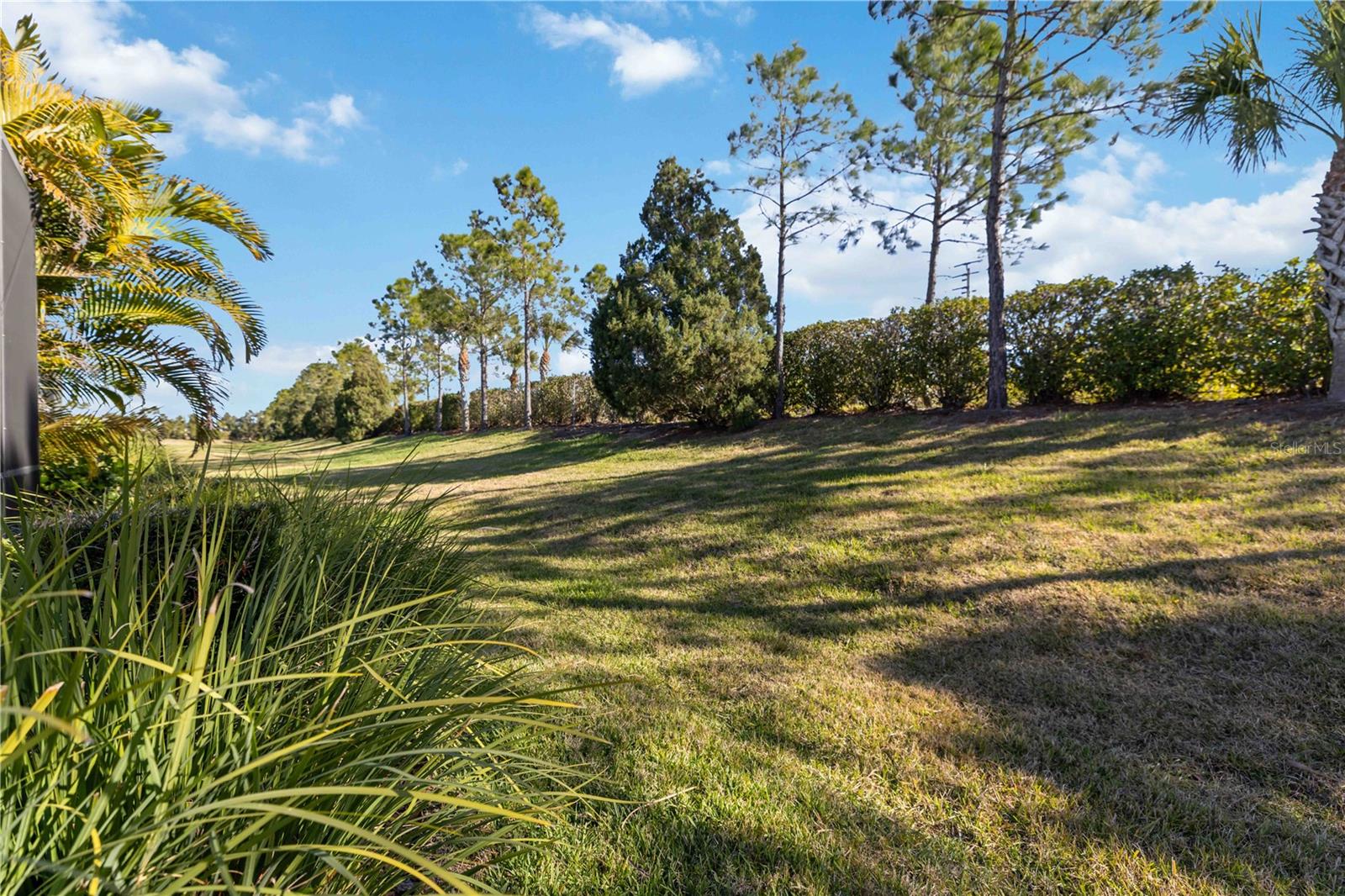 SILVERLEAF - Residential